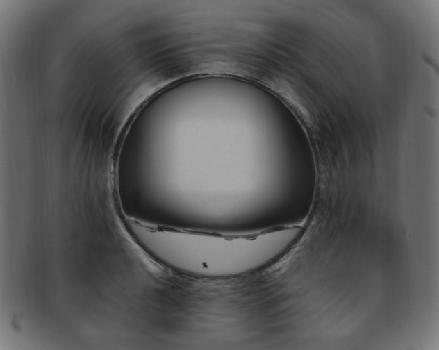 X0000092281040200709141217