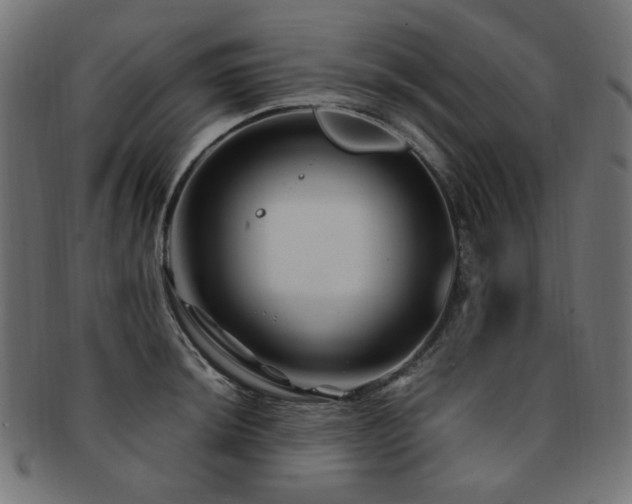 X0000092281044200709141217