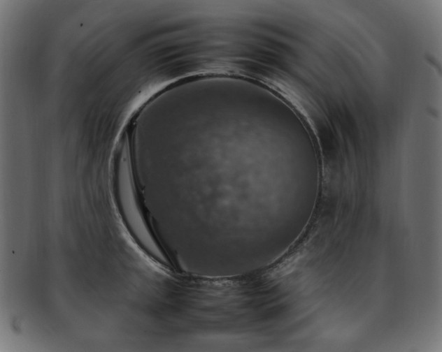 X0000092281045200709141217