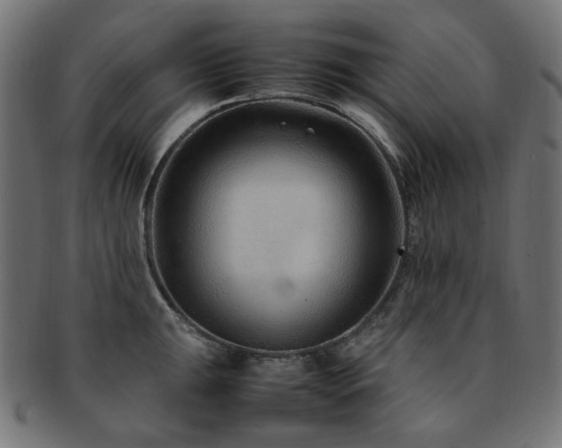 X0000092281047200709141217