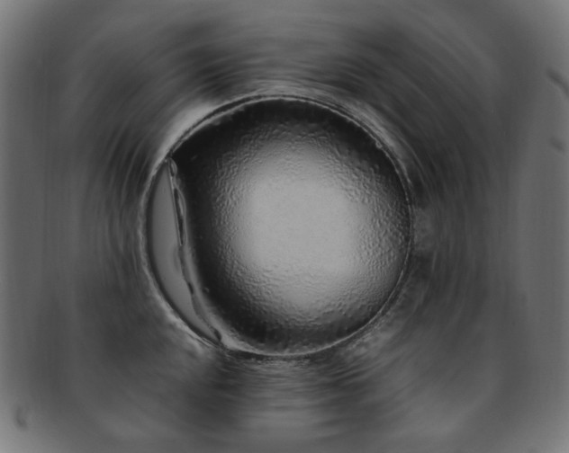 X0000092281048200709141217