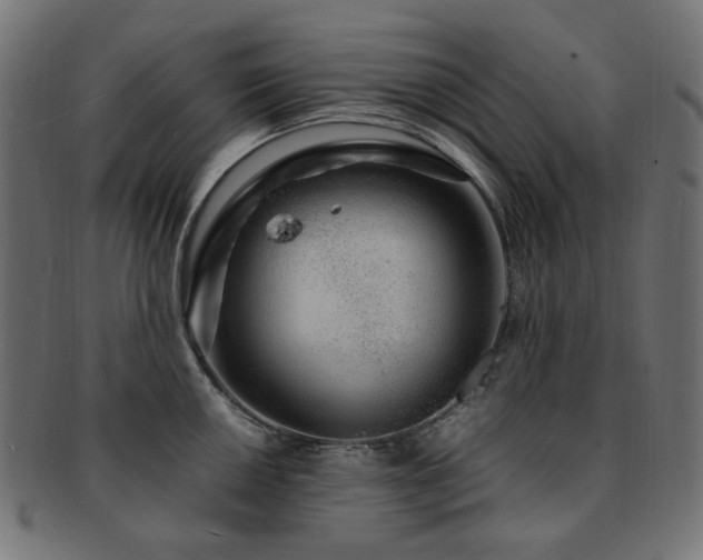 X0000092281050200709141217