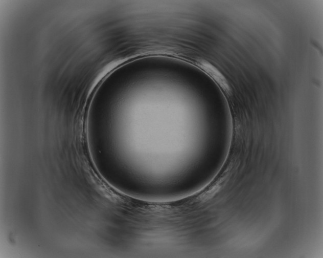 X0000092281052200709141217