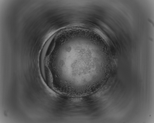 X0000092281055200709141217