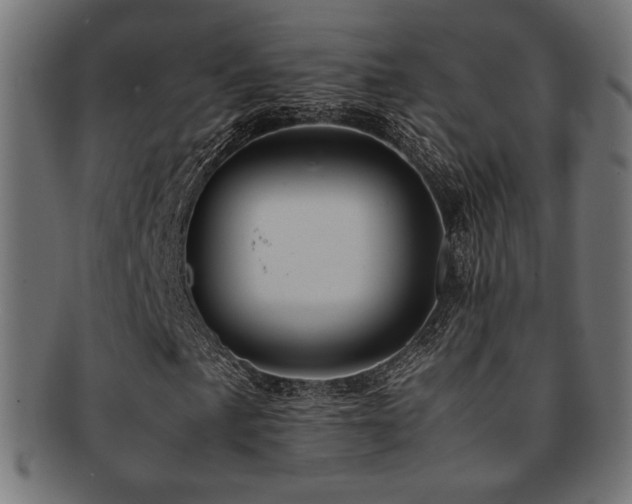 X0000092281057200709141216