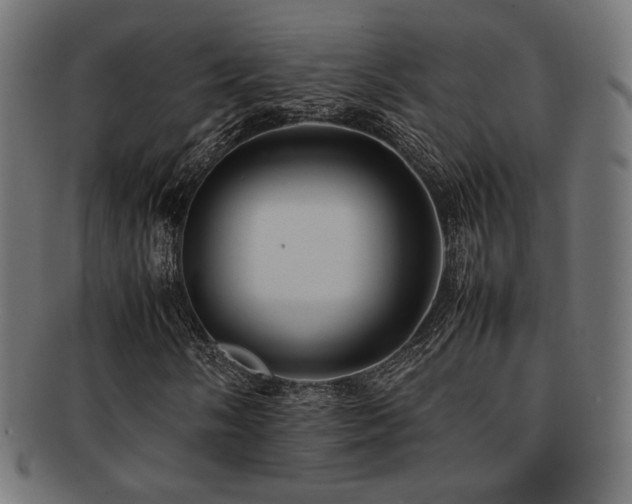 X0000092281058200709141216