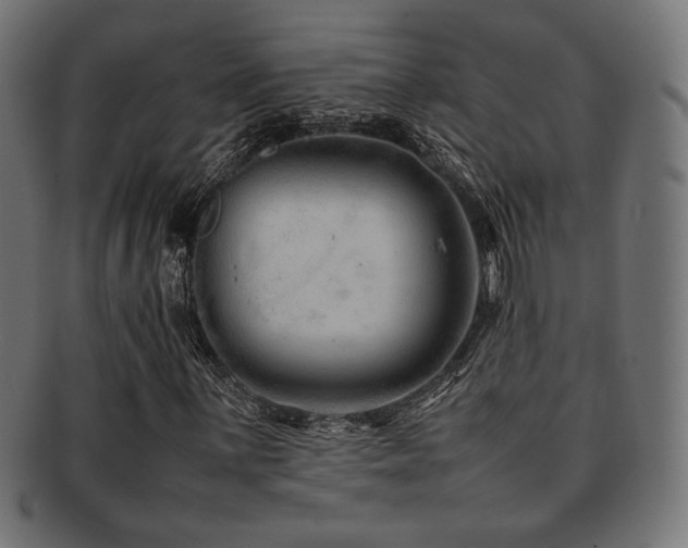 X0000092281059200709141216