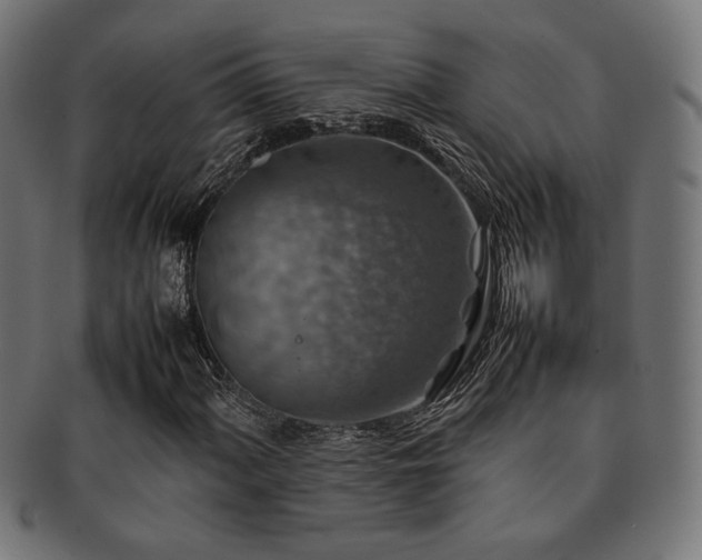 X0000092281060200709141216