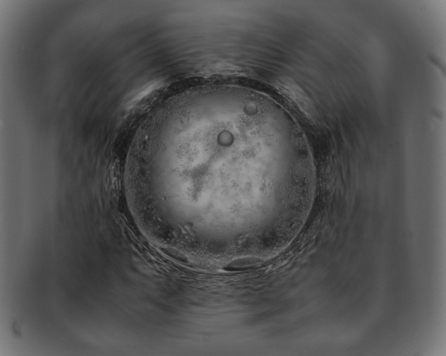 X0000092281063200709141216