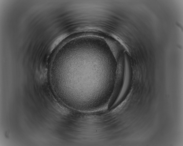 X0000092281066200709141216