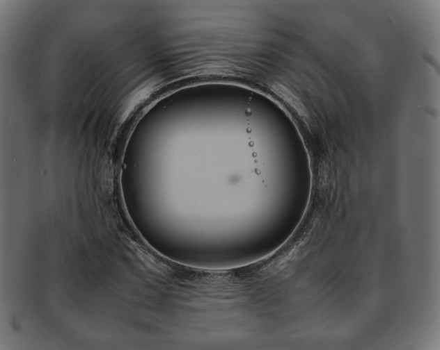 X0000092281067200709141216