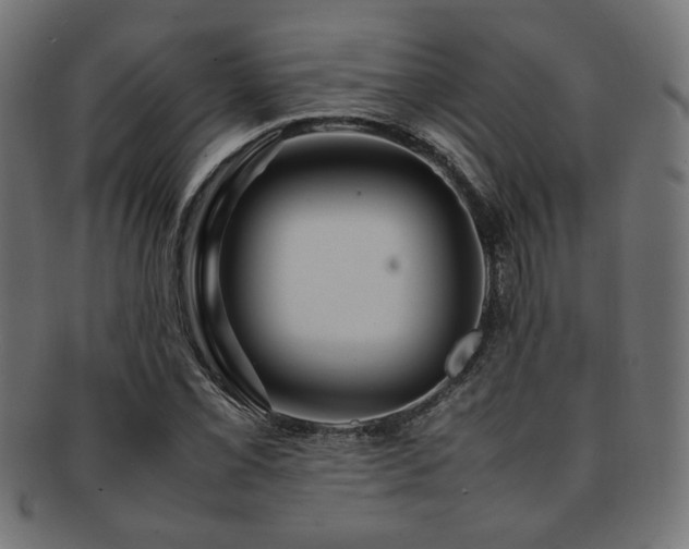 X0000092281069200709141216