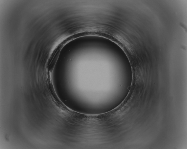 X0000092281070200709141216