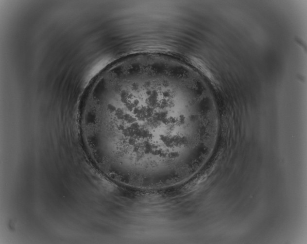 X0000092281071200709141216