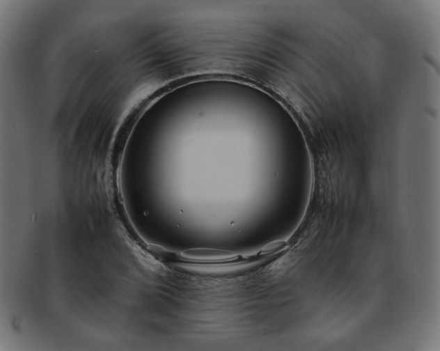 X0000092281072200709141216