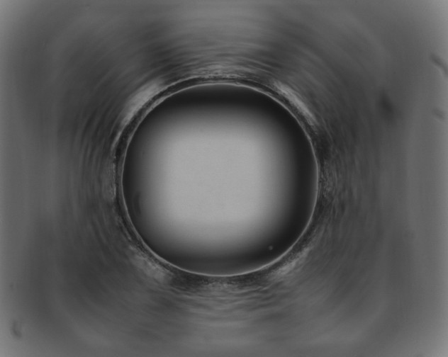 X0000092281075200709141216