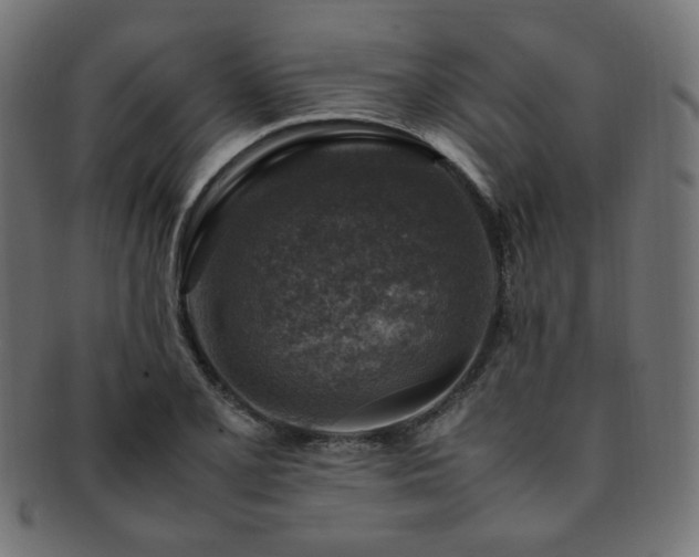 X0000092281077200709141216