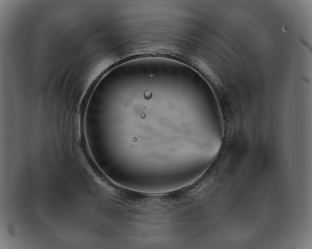 X0000092281079200709141216