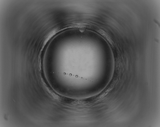 X0000092281083200709141216