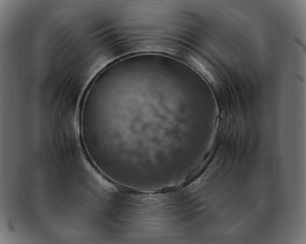 X0000092281084200709141216