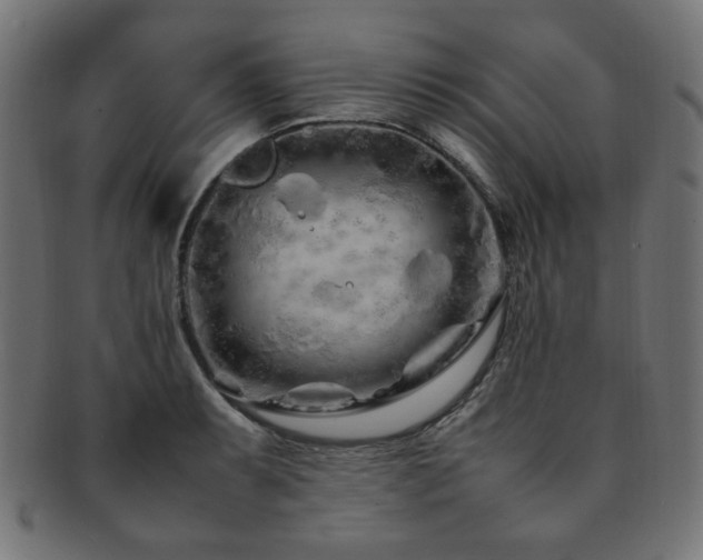 X0000092281087200709141216