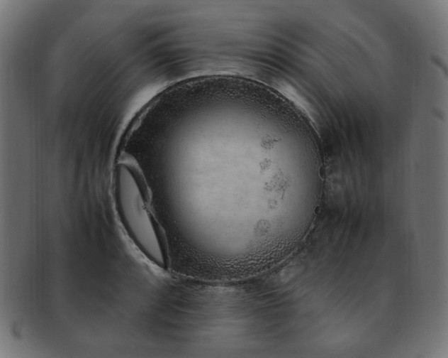 X0000092281088200709141216