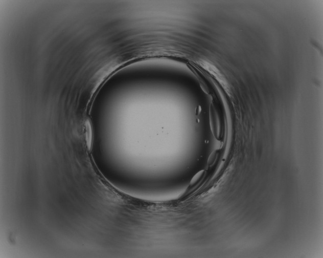 X0000092281089200709141216