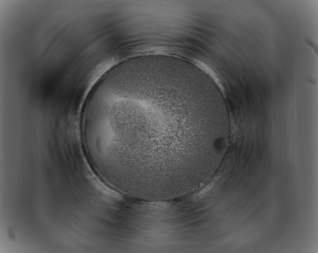 X0000092281090200709141216