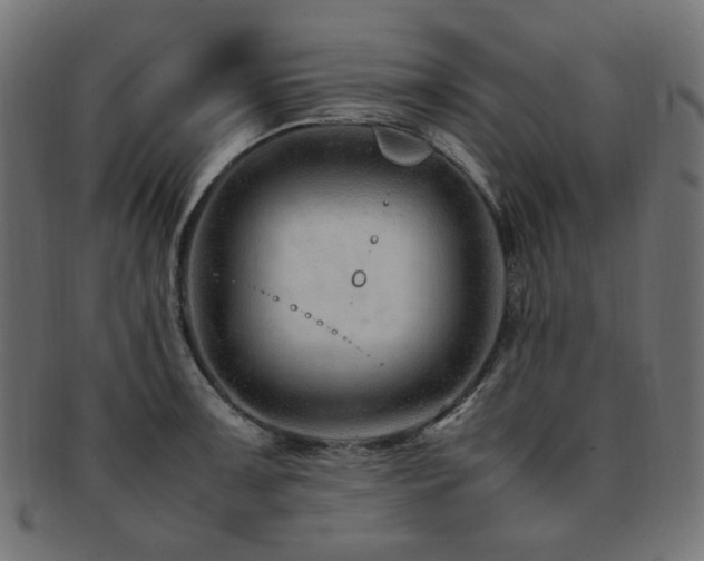 X0000092281091200709141216