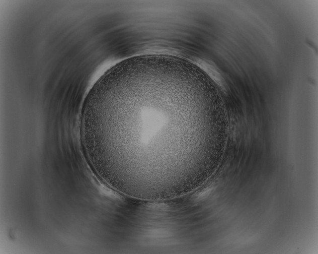 X0000092281094200709141216