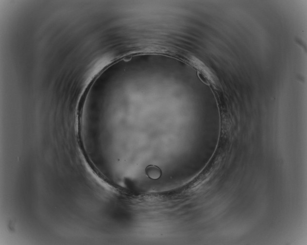 X0000092281095200709141216