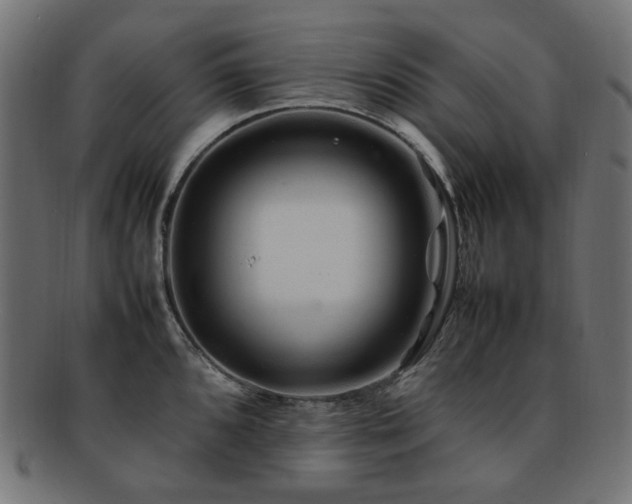 X0000092281096200709141216