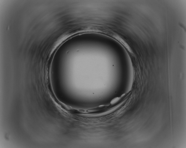 X0000092281101200709141216