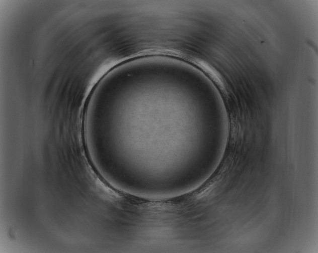 X0000092281102200709141216