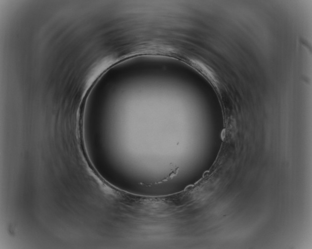 X0000092281103200709141216