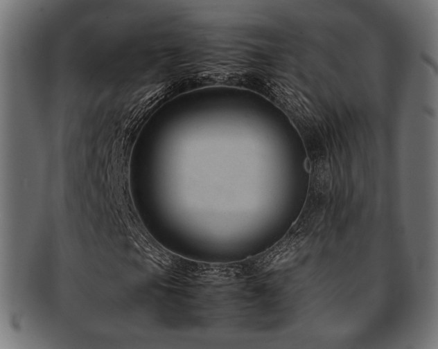 X0000092281105200709141215