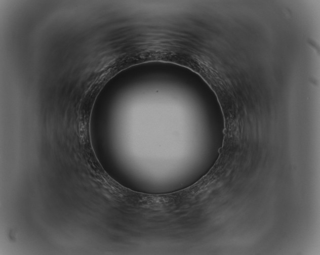 X0000092281109200709141215