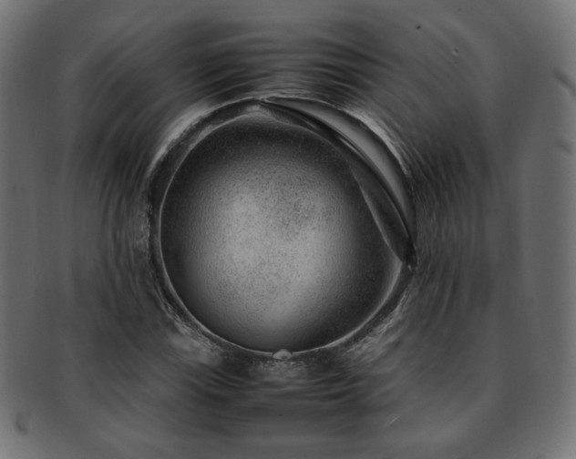 X0000092281115200709141215
