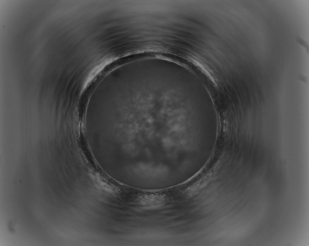X0000092281117200709141215