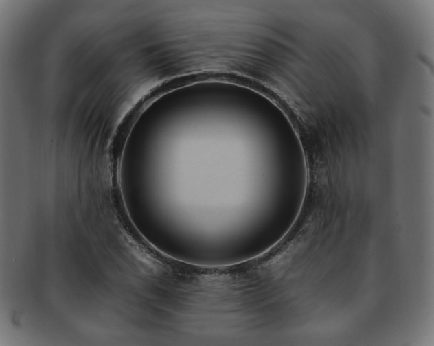 X0000092281118200709141215