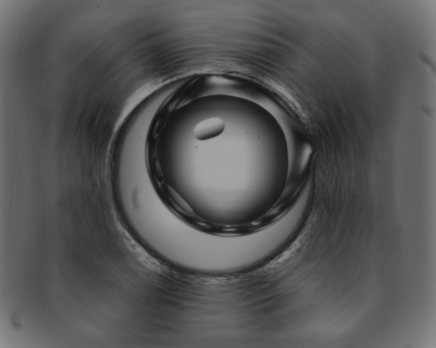 X0000092281122200709141215