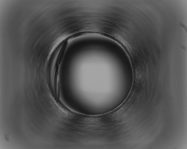 X0000092281123200709141215