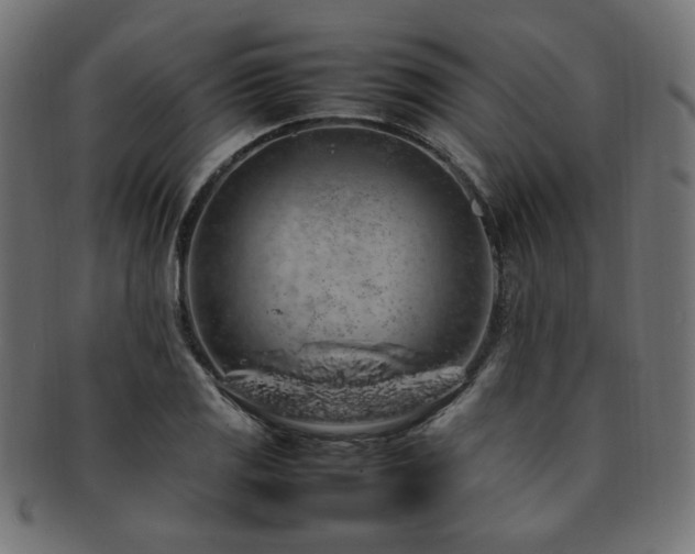 X0000092281125200709141215