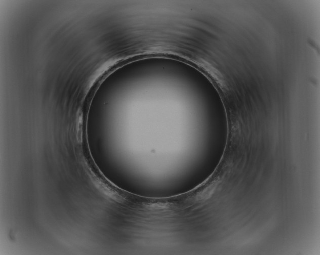 X0000092281126200709141215