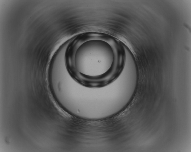 X0000092281128200709141215