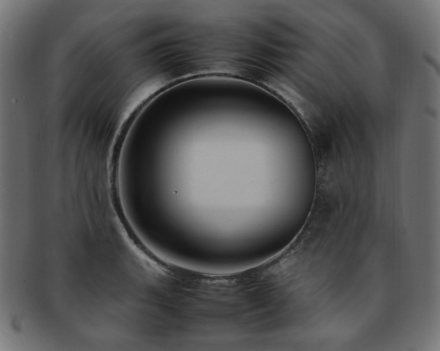 X0000092281135200709141215
