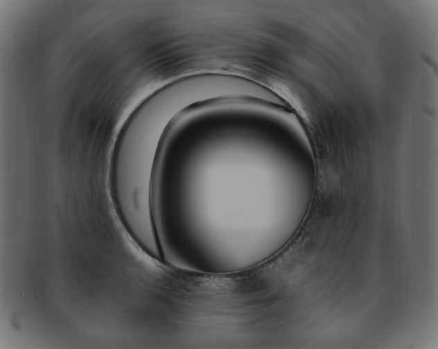 X0000092281136200709141216