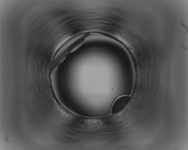 X0000092281137200709141216