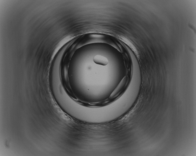 X0000092281138200709141216