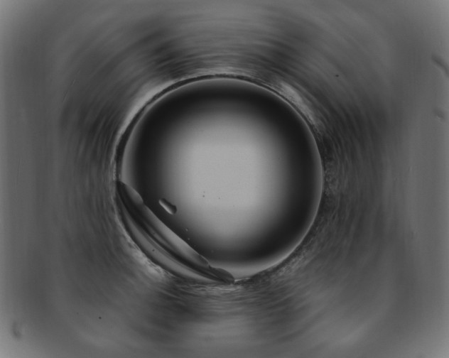 X0000092281140200709141216